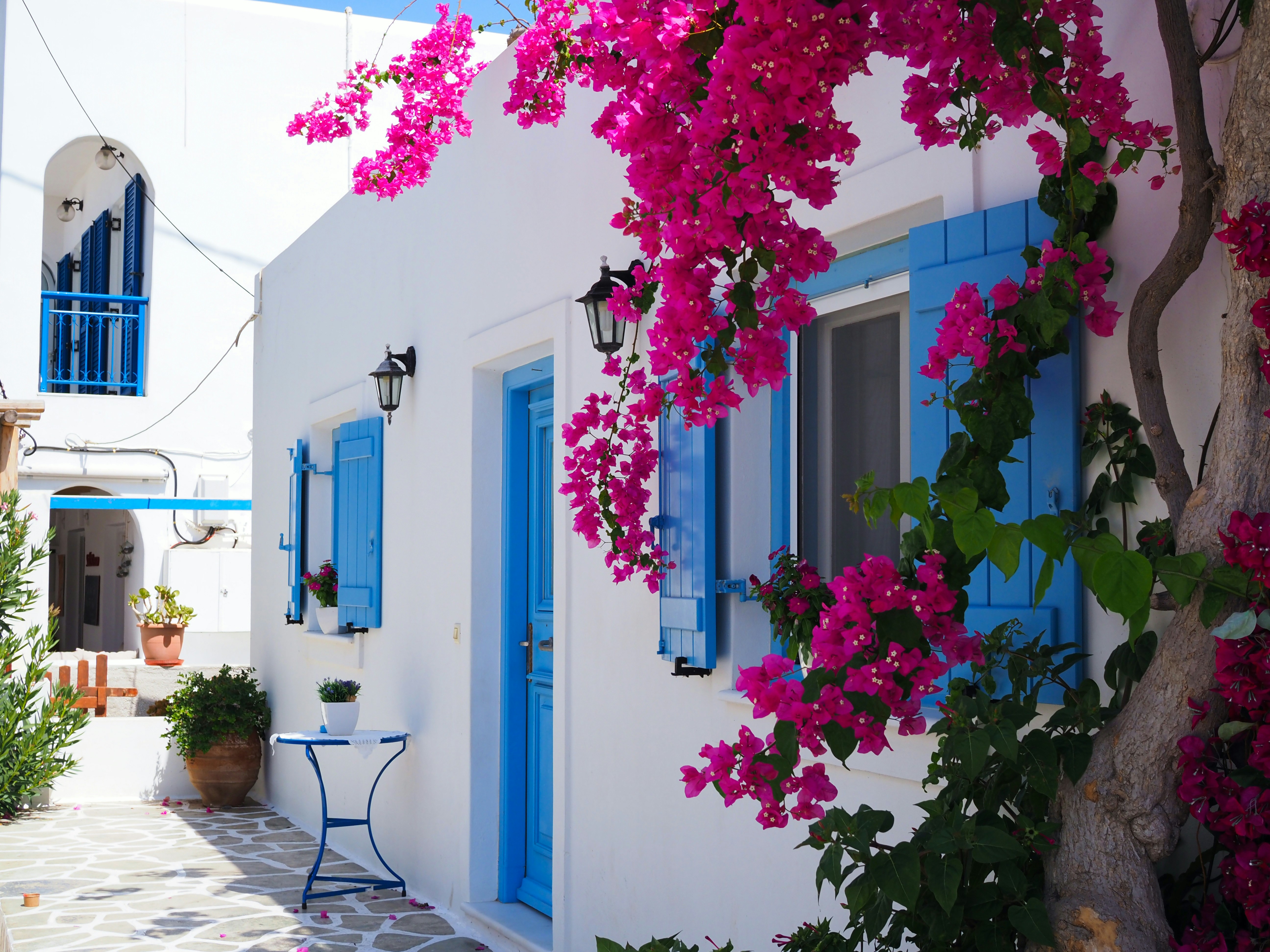 This special edition of our newsletter is all about Greece! (April 2025)
